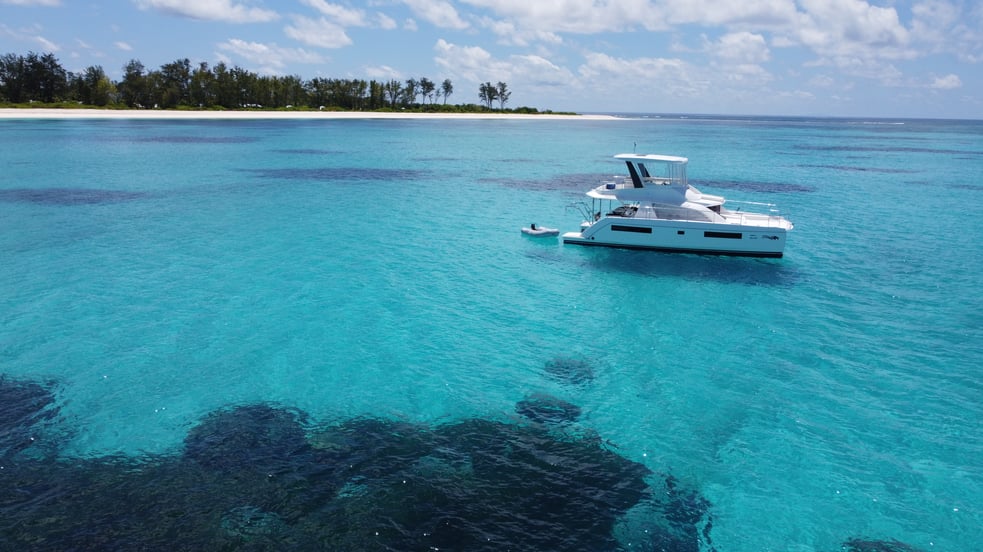 Bird Island Drone